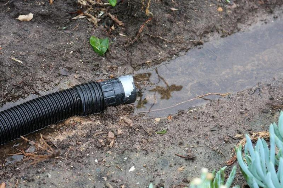 Drainage Services and Repair Alexandria VA 5.webp